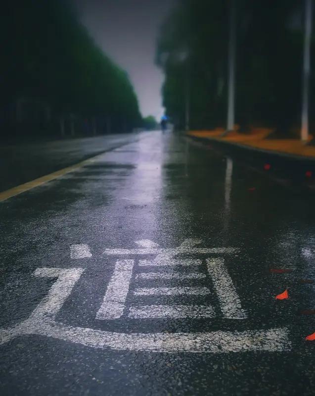 自己选的路，当然可以后悔！生活中，“自己选的路，跪着也要走完”这句话就像紧箍咒，