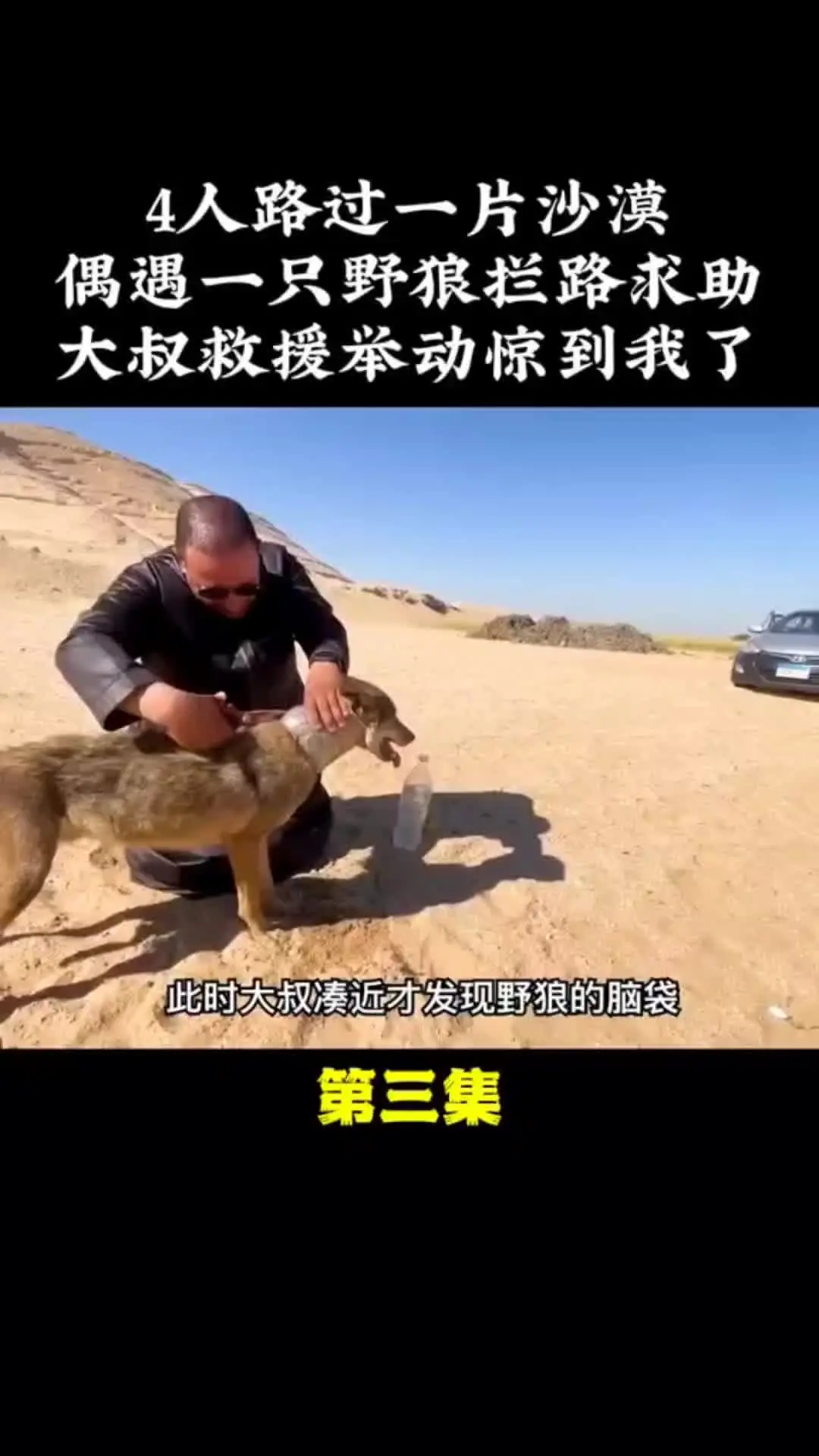 我的观影报告 内容启发搜索 动物的迷惑行为 万物皆有灵性