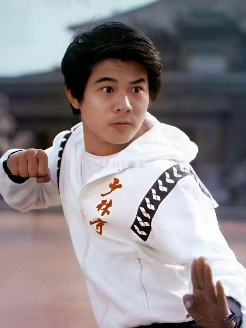 李连杰不担心AI取代功夫AI可以复刻招式动作，却复刻不了功夫背后的风骨与初心。李