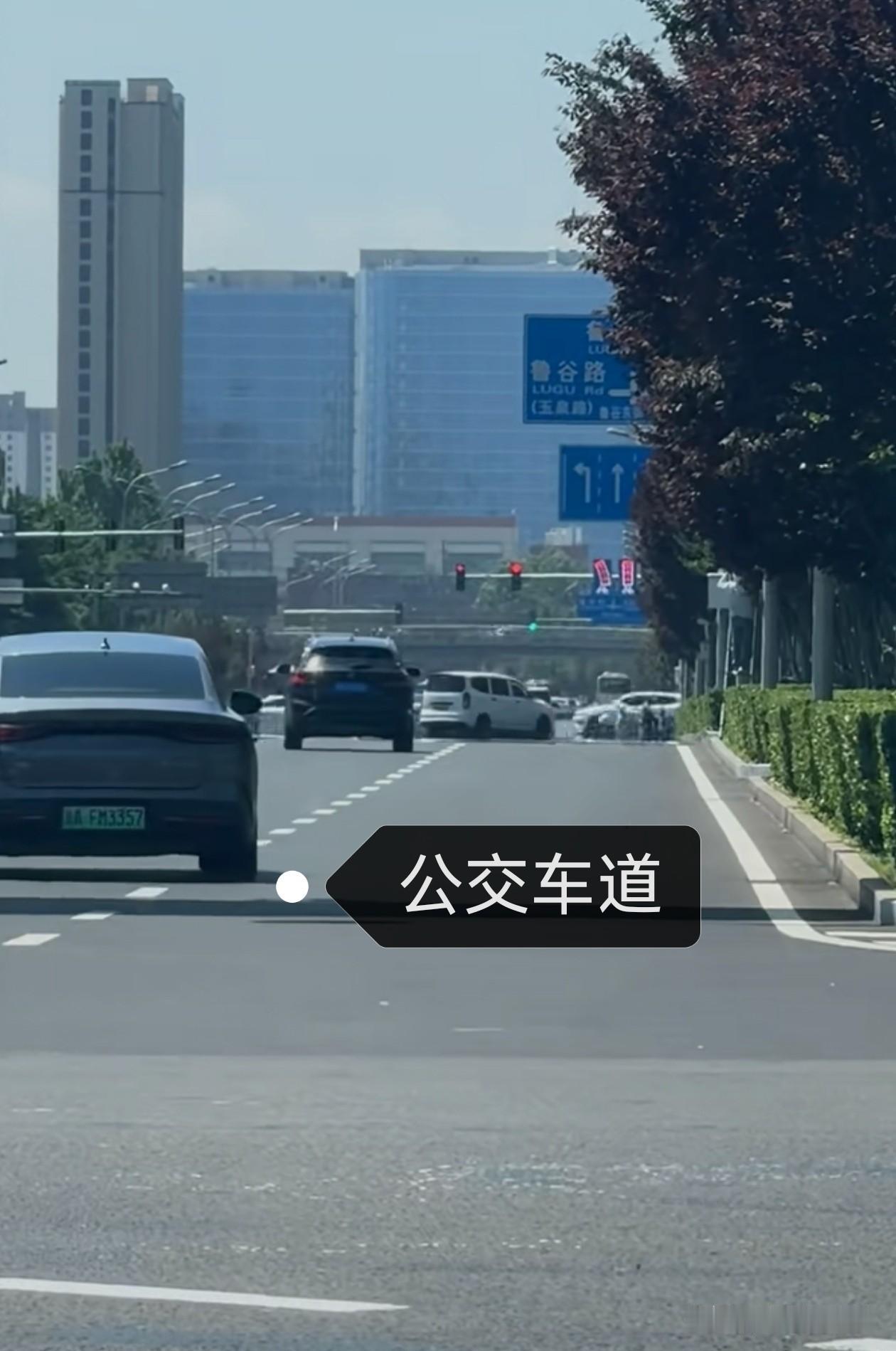 自从公家车道线换成白线以后，看了一下，有区别吗，要是没有导航软件或者当地老司机，