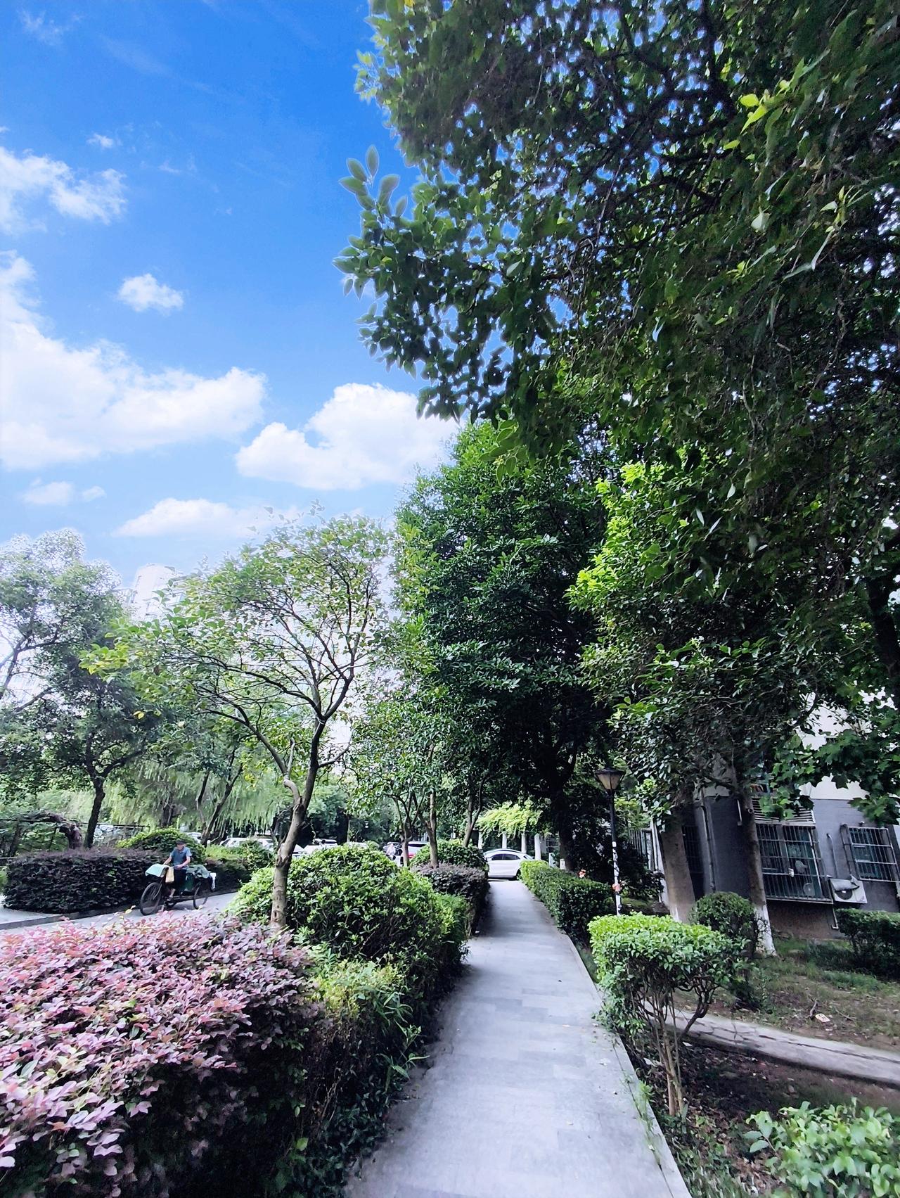 今日大暑，热得那叫一个离谱！气温 35℃起步，40℃也不稀奇，出门就像进了桑拿房