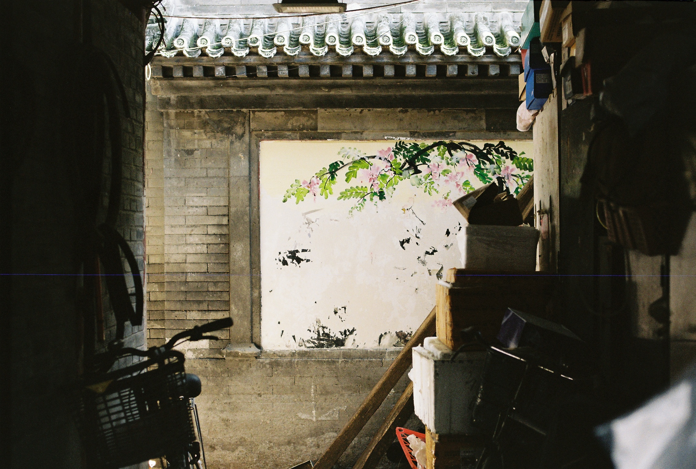 影壁  柯达胶卷 