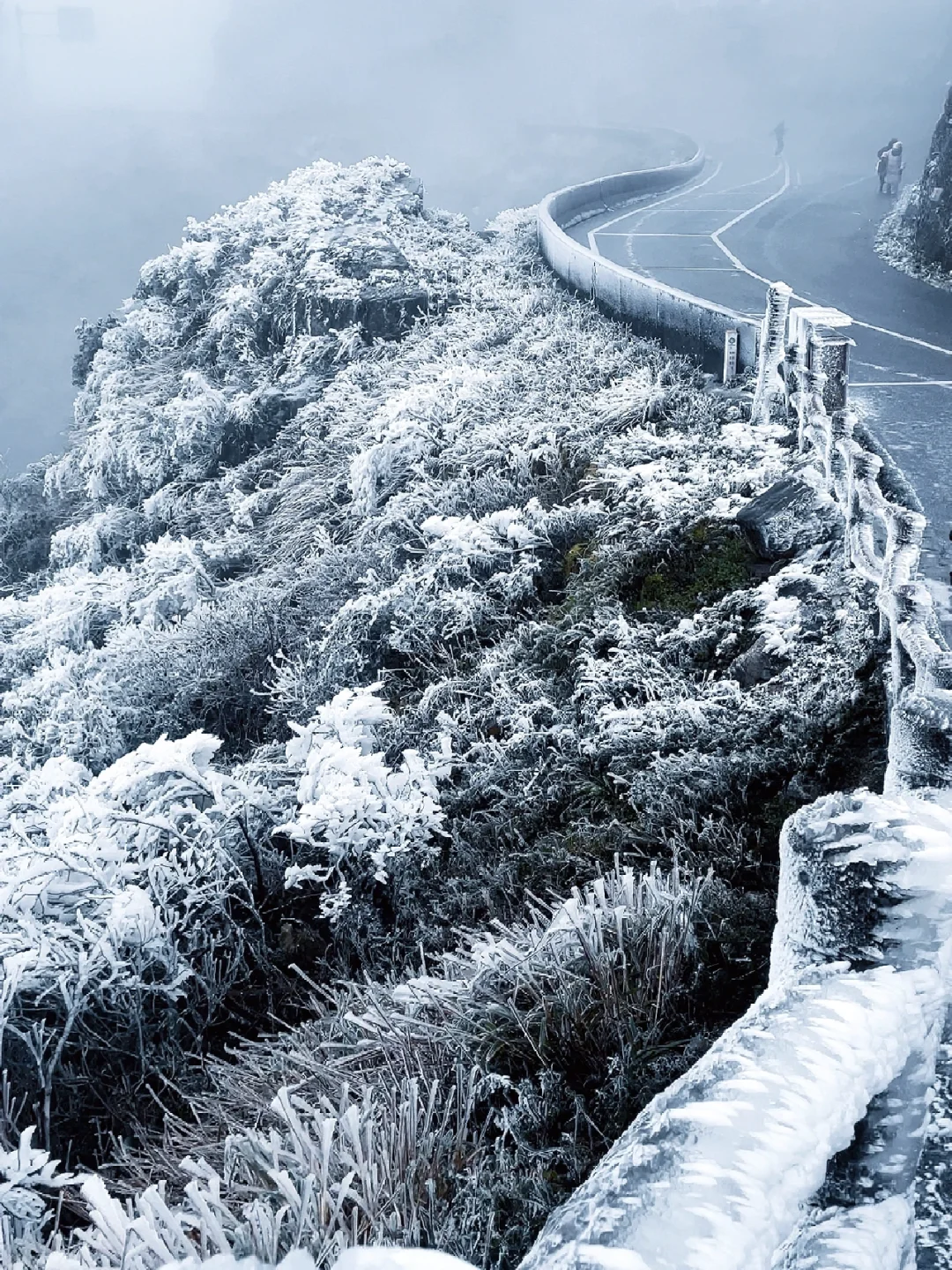 雾凇，广西人的高光时刻 ｜附看雾凇详细攻略