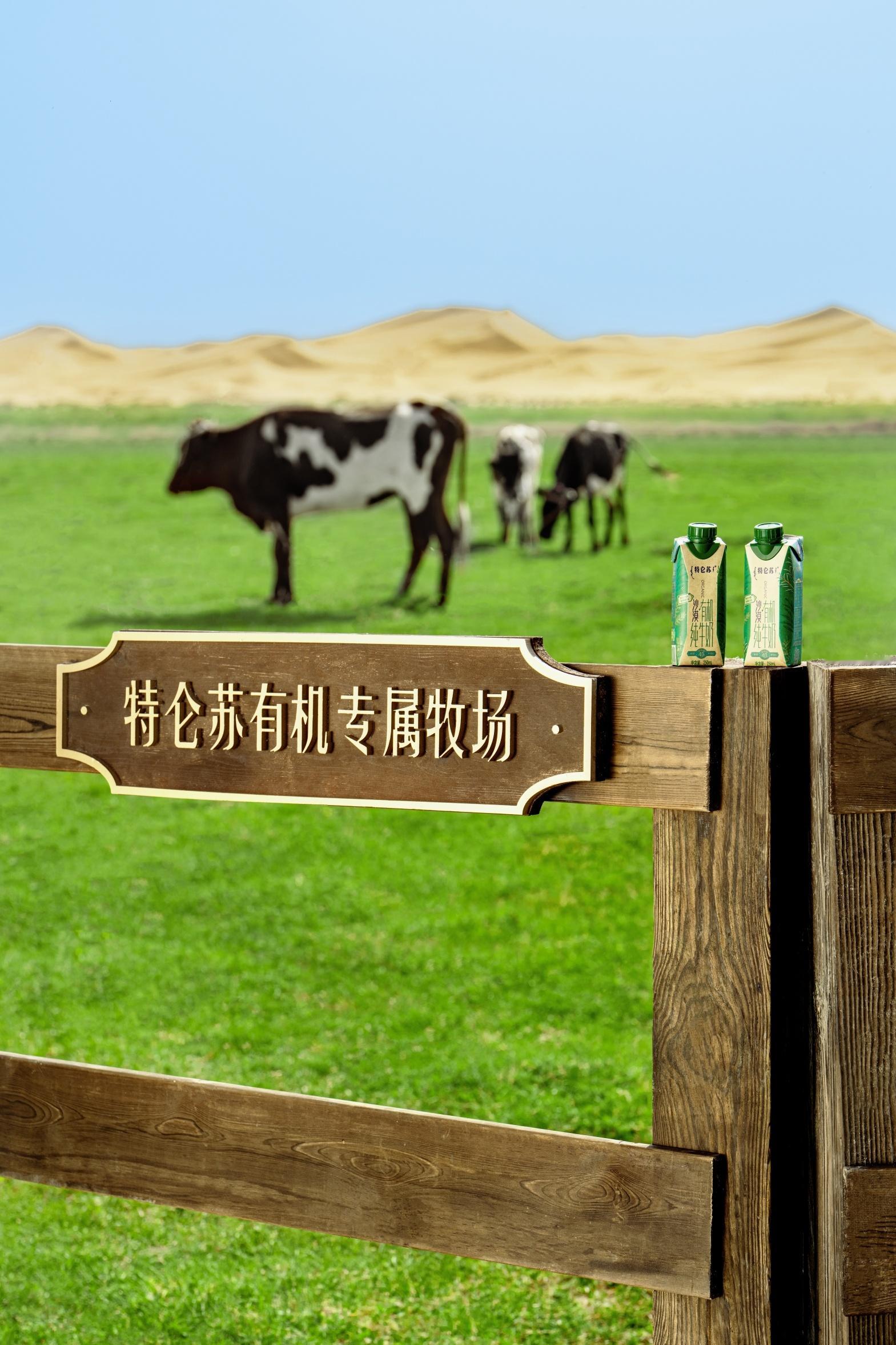 每个人的生活中都有那片“沙漠”——焦虑、迷茫、寻找方向的时刻。特仑苏最新纪录片中