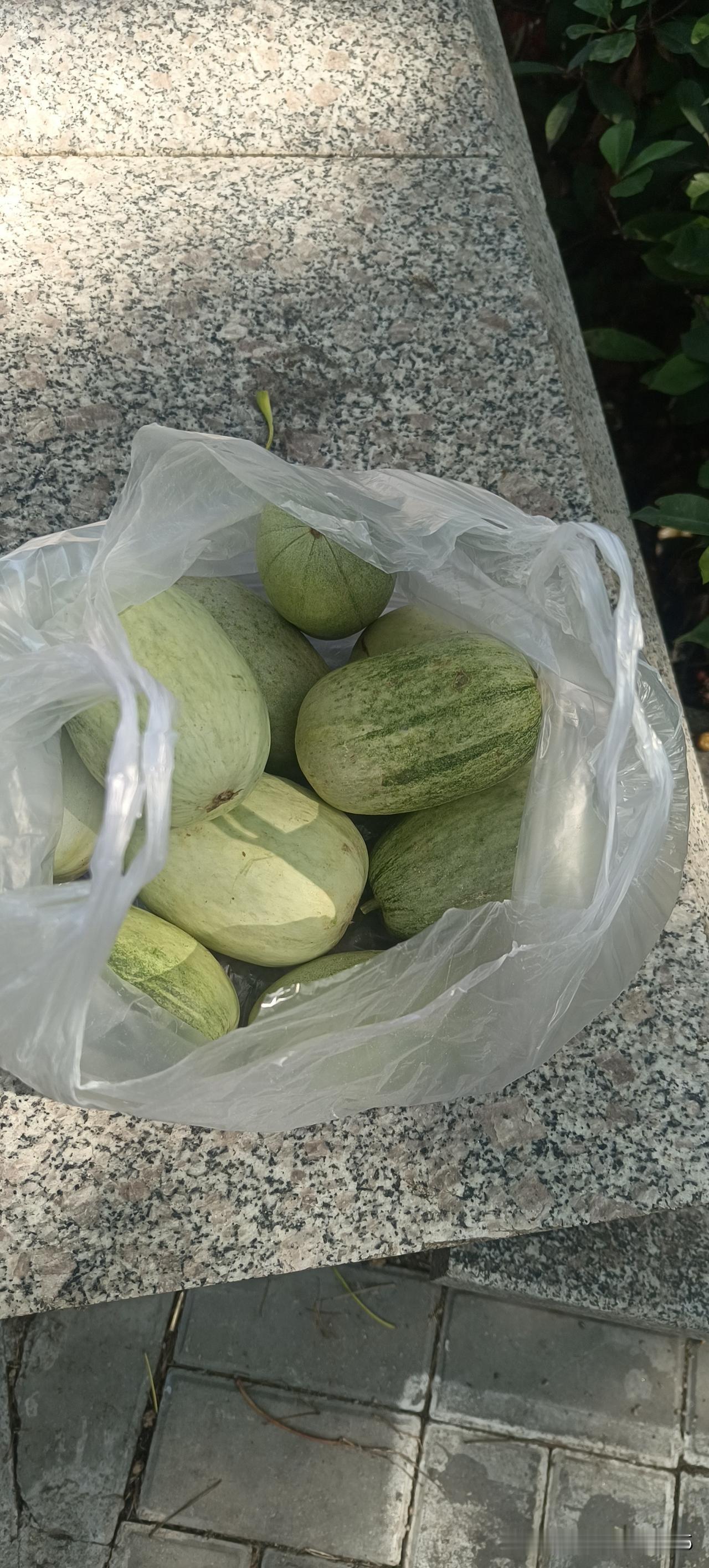今年的农产品真便宜，这么的一兜甜瓜，说句实在话，我都提不动了，暂且在路边休息休息