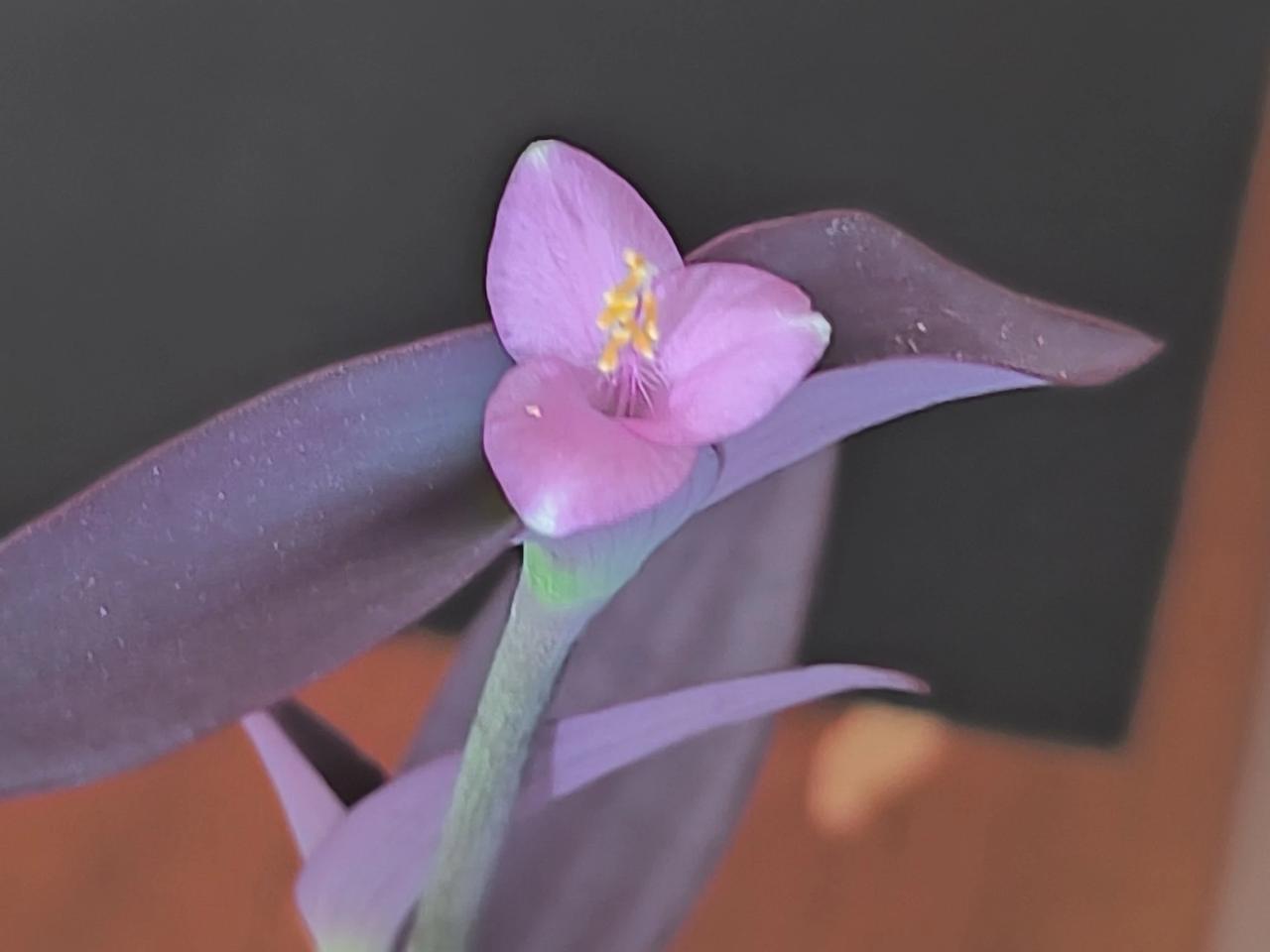 做个 ˇ²⁰²⁴ˇ 七月三十日复盘：
①得罪谁都不要得罪小人，好心提醒同事衣服过