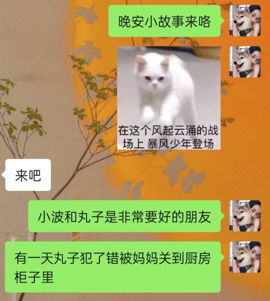 和crush 必讲晚安小故事