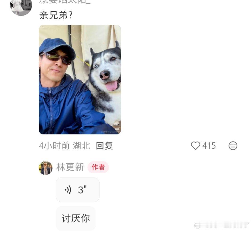 林更新和狗合照被说是亲兄弟，林更新居然回复讨厌你，林怼怼什么时候这么温柔了 