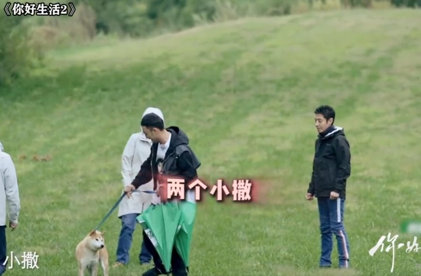 撒贝宁 躲不掉的柯基标签 央视直播秒变撒贝宁“标签加固”现场！小尼一句玩笑话，让