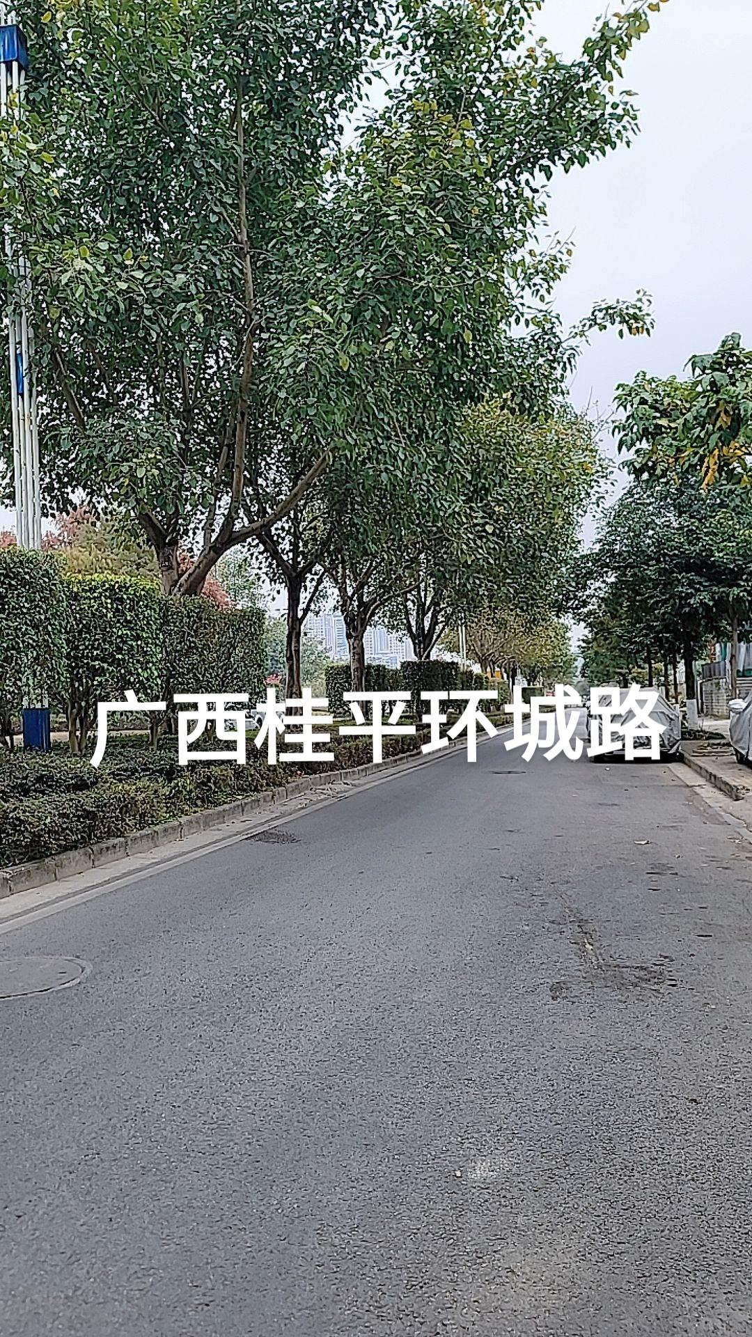 广西桂平环城路随手一拍都是美景 实地拍摄 随拍 阳光明媚的一天