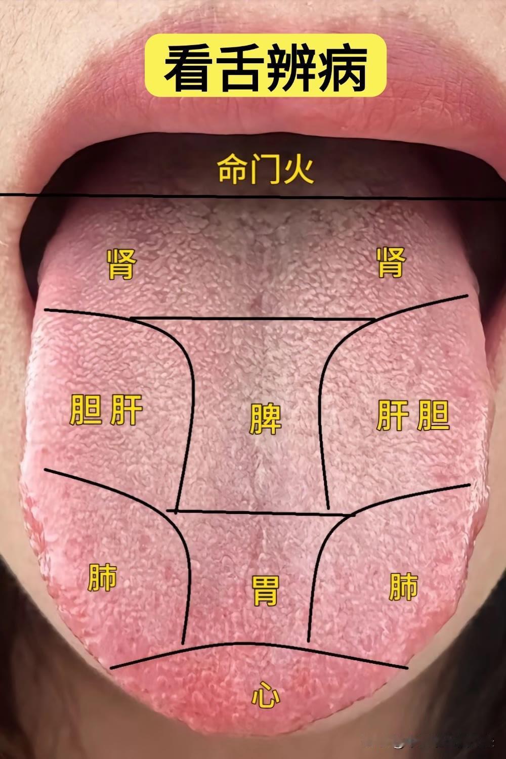 国庆假期结束，挑战给大家看舌头，一天99个，你发我看，结果立马出！

注意：
1