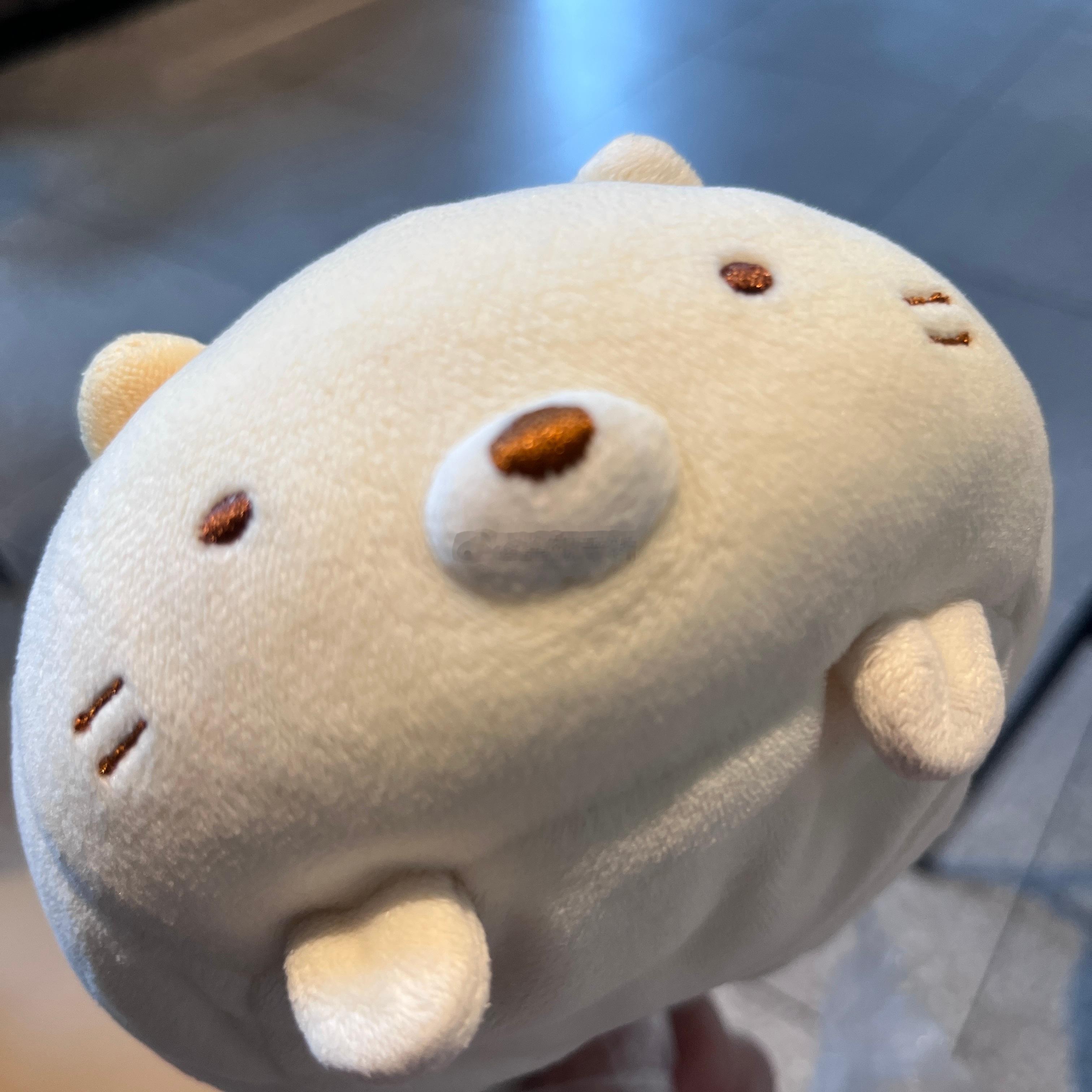 猫猫仔：一只让人不可轻易对上眼的小猫，只要稍微一瞄就觉得她非常可怜……就想亲鼠她