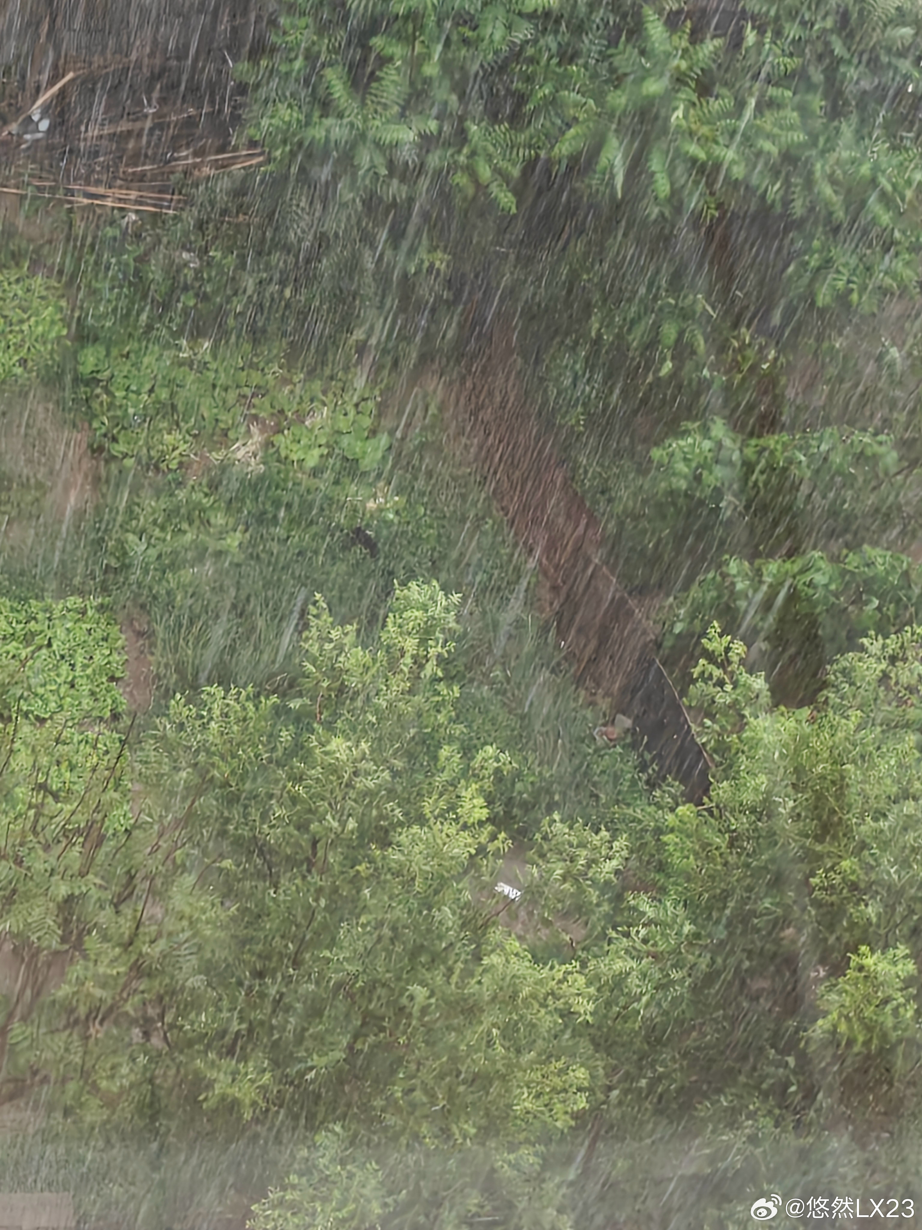 这几天的雨水是真多真急此时又是雷声轰鸣 倾盆大雨随拍日常分享