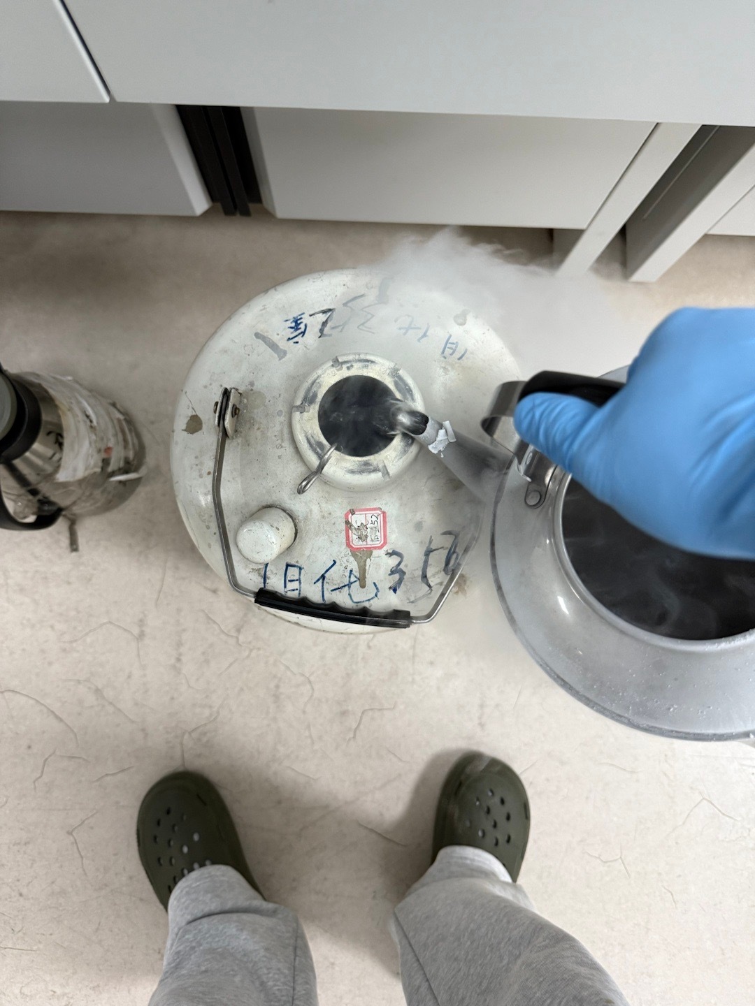 来人无奖猜下看这是啥 