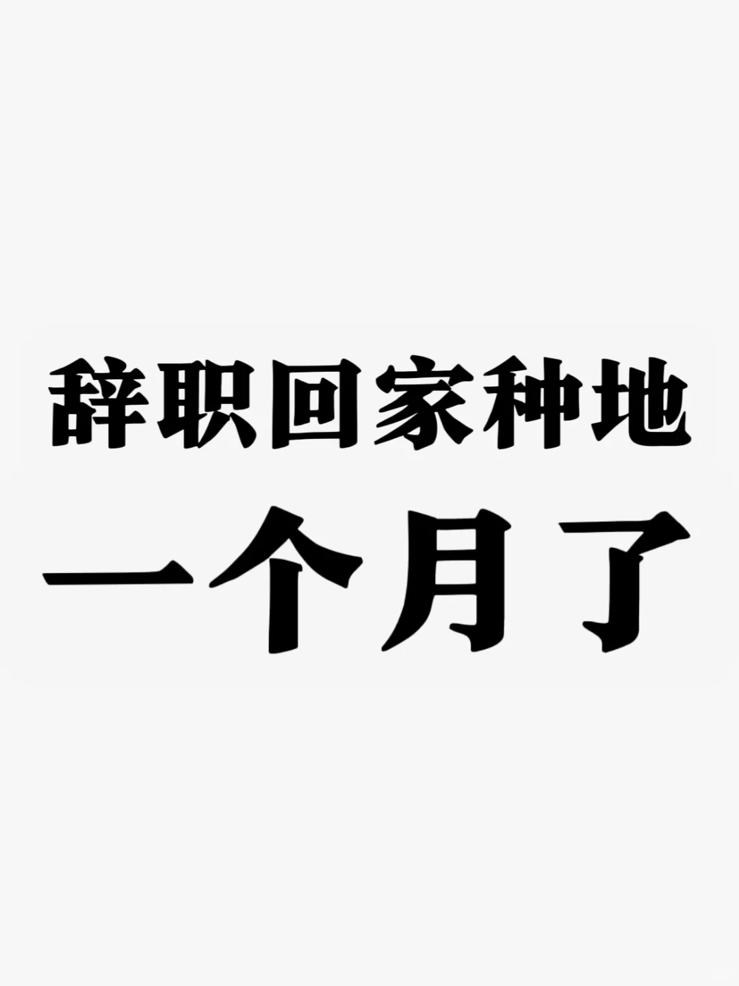 回家种地一个月了～充实又开心，写个文字记录
