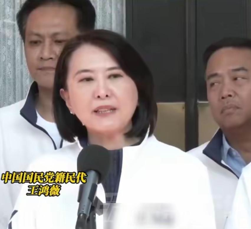 批驳岛内分裂言论 认清“以武拒统”的荒谬本质
 
国民党“立委“王鸿薇在节目中威