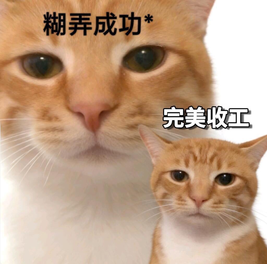 到办公室发现老板今天已经开始休假了，完美😎 