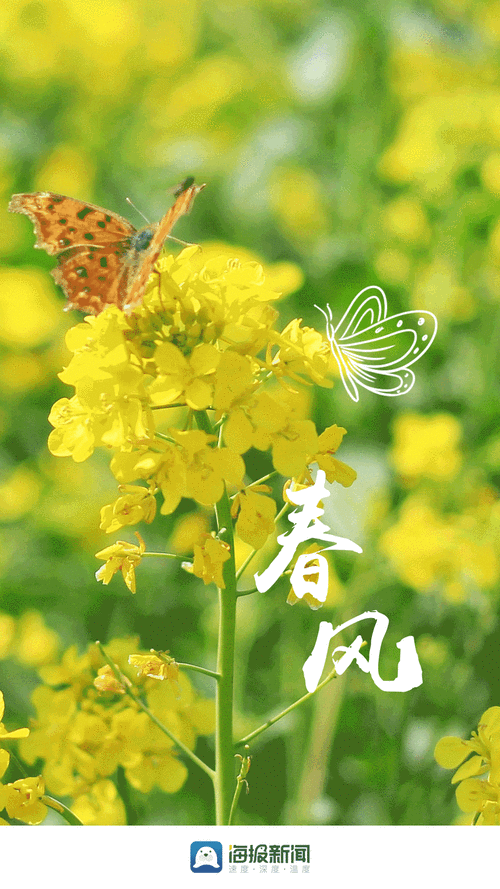 ‌
东风解冻万物苏，
立春节至暖阳殊。
冰河渐裂潺潺响，
柳眼初开淡淡朱。
燕语