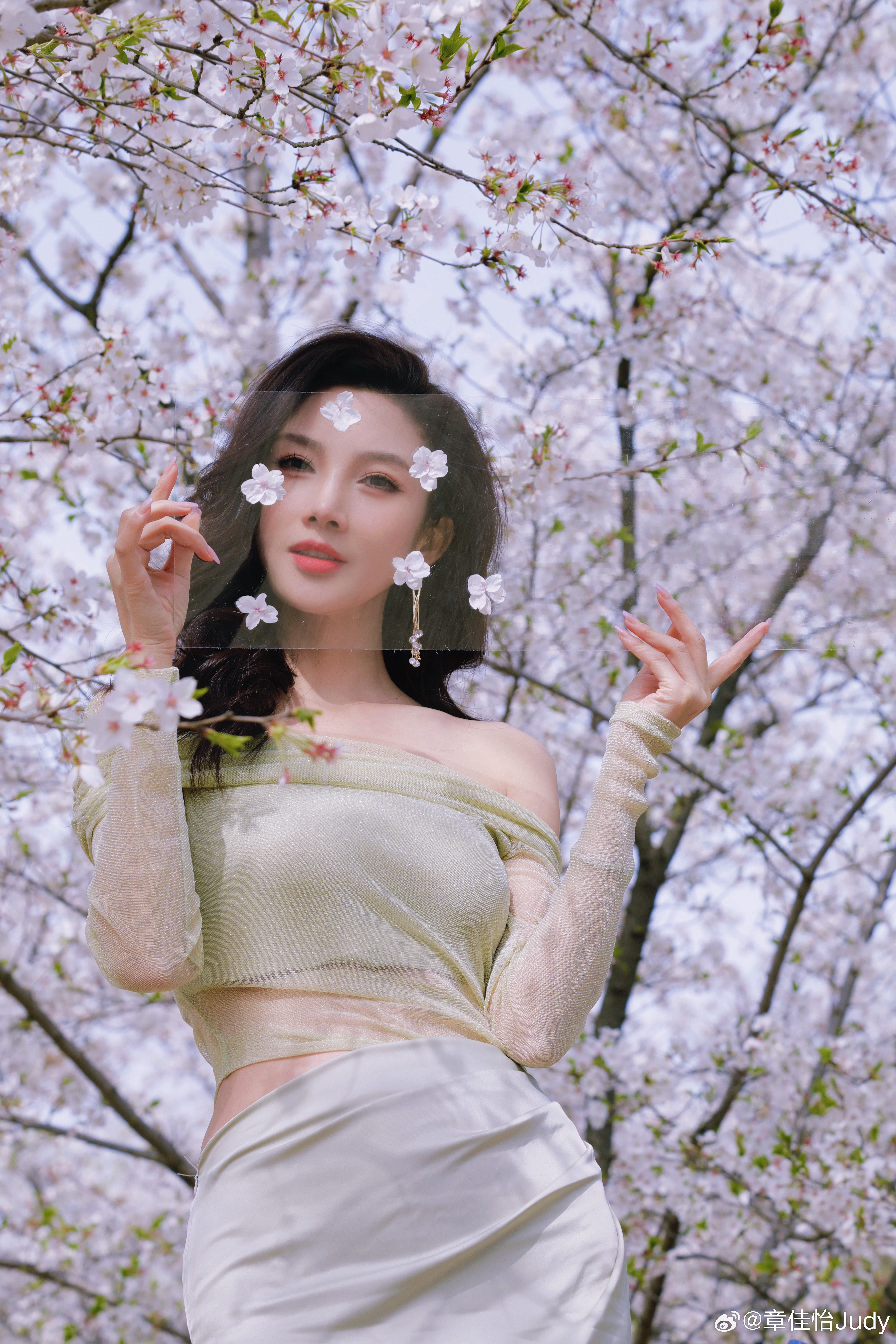 樱花🌸树下站谁都美遇见美好时尚穿搭沪流上海樱花  ​​​