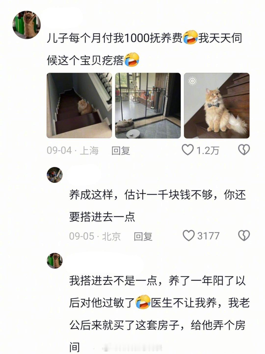 原来爸妈接受养宠物 是因为猫狗比我听话