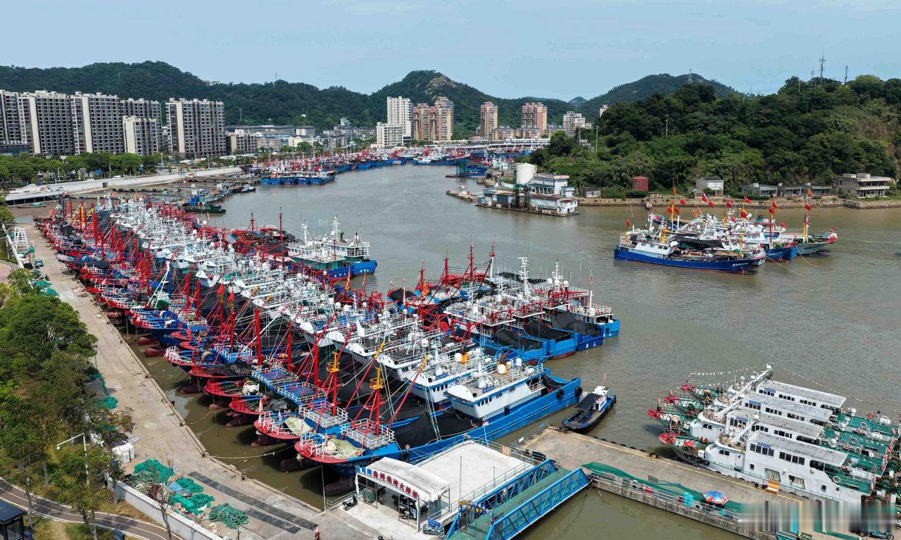 宁波人马上就能吃到梭子蟹啦 原本定在8月5日的宁波小开渔，因为台风白海豚过境推迟