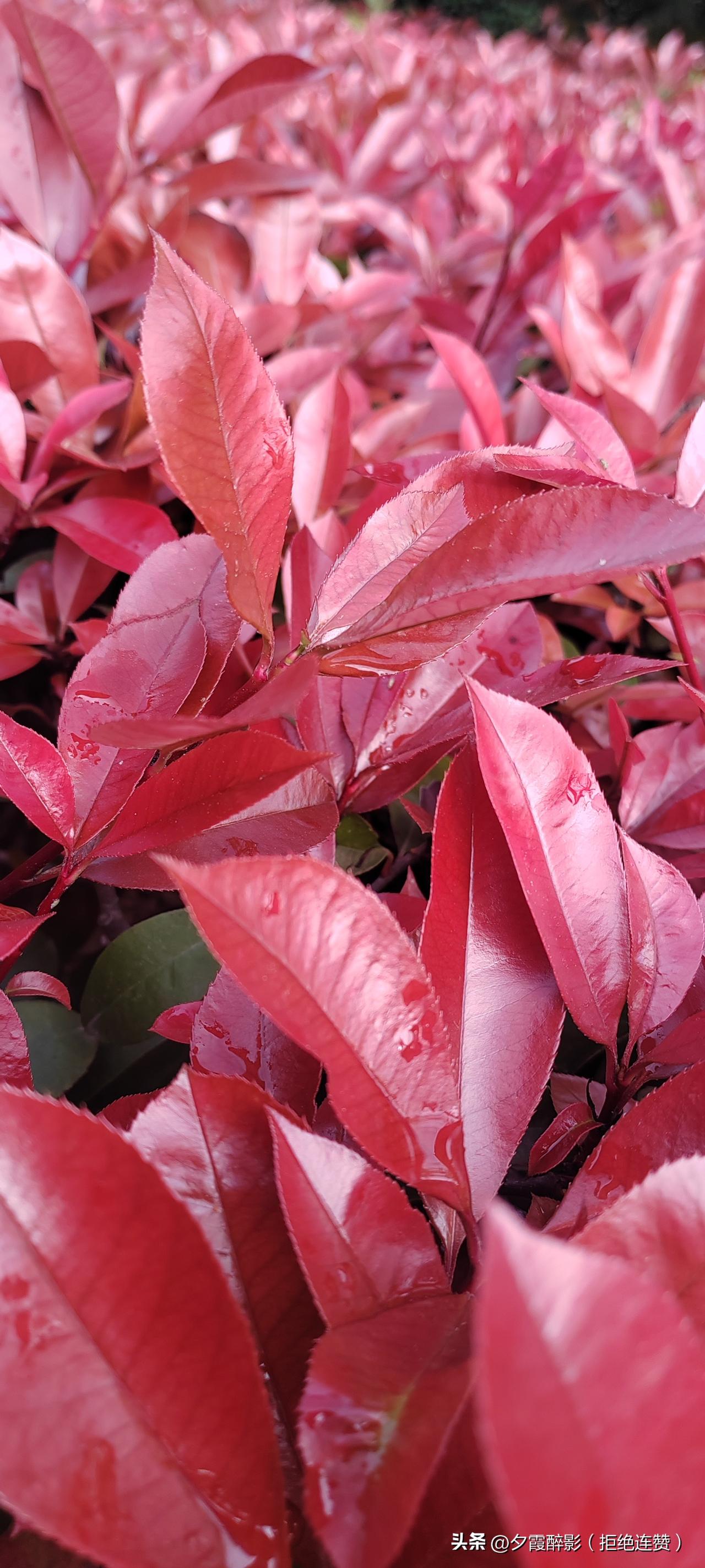 今天出门办事，竟然偶遇了几十年没见的老同学。
隔着老远就认出了彼此，那一瞬间，仿