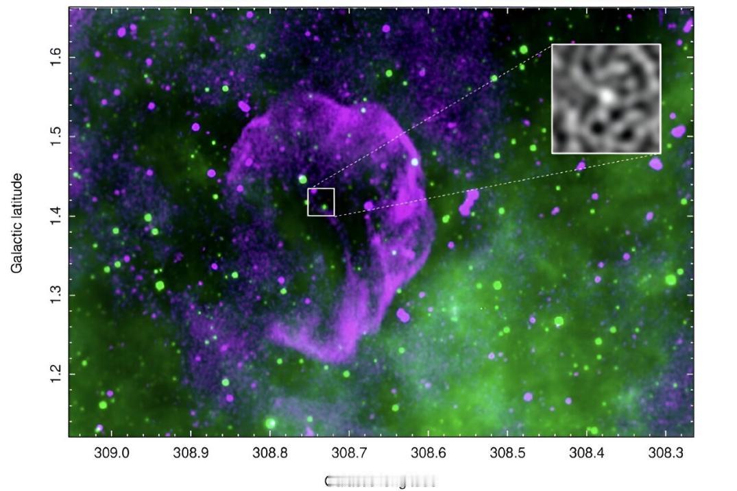 【宇宙开始产“树莓”了？】天文学家们发现了一个新的超新星遗迹（SNR）候选者——
