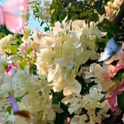 阳光信用 ☘️阳光信用 🍀每日一善世上没有一件工作不辛苦、没有一处人事不复杂。