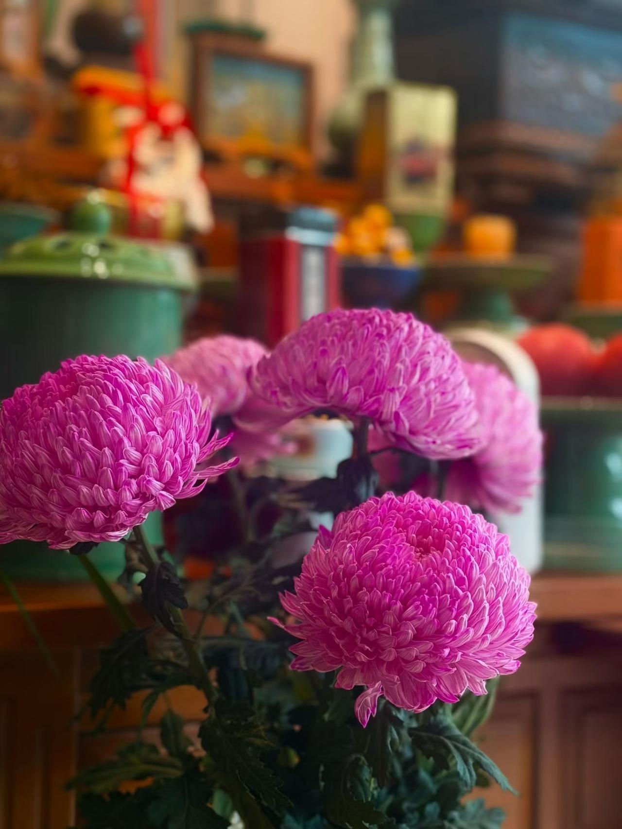 说太多，不如沉默；想太多，只会难过。是非对错，不必争辩，时间自有答案。不必向所有