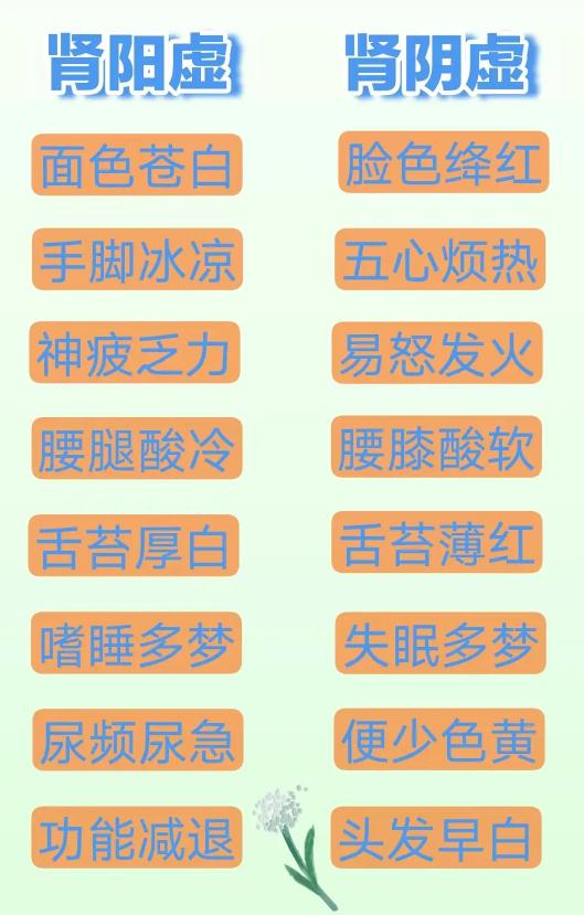 别再乱补肾！阳虚、阴虚、阴阳两虚区别很大