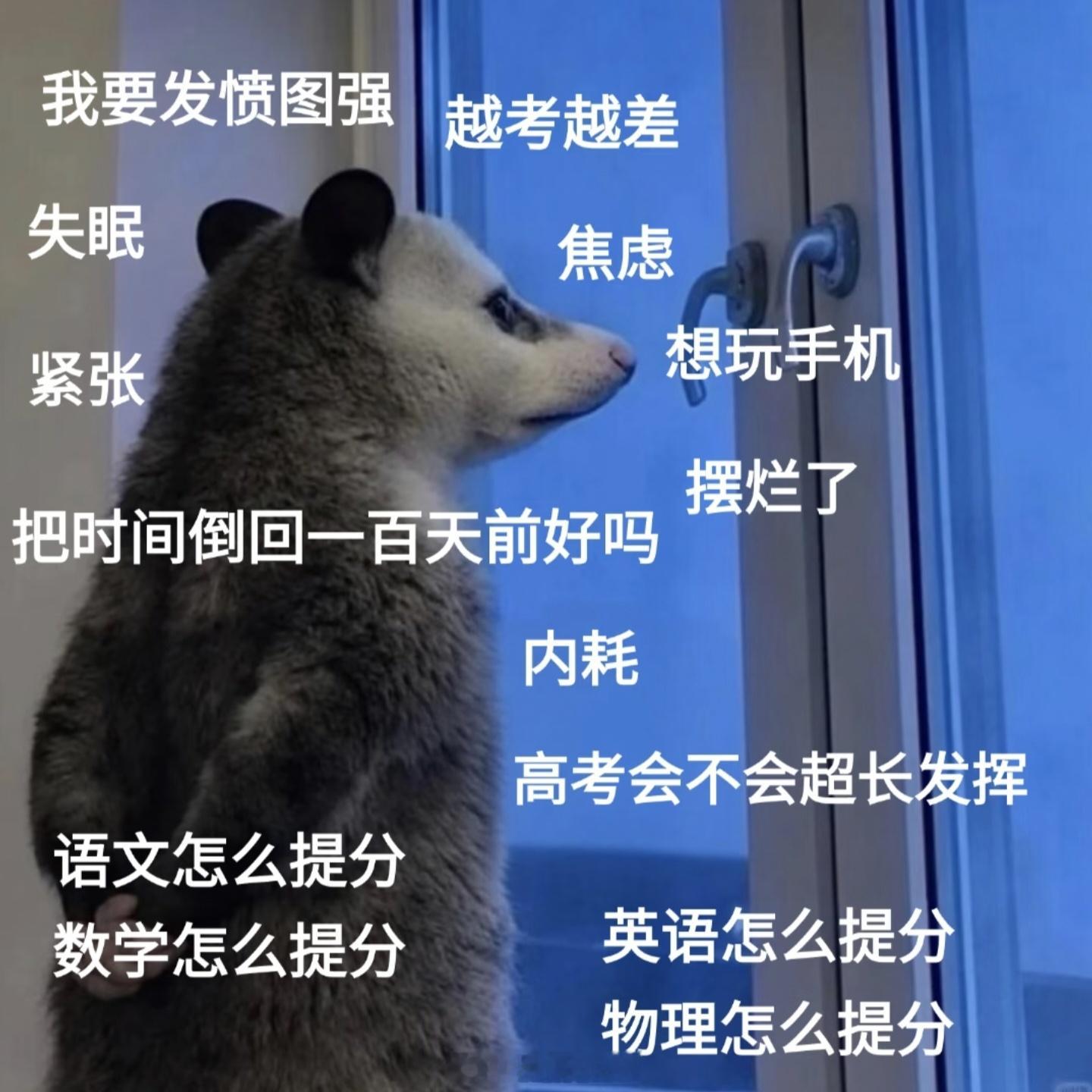 高考物理很多人成为牛马之后都说想重返校园，但是就算我在经历死亡周一我也觉得比回高