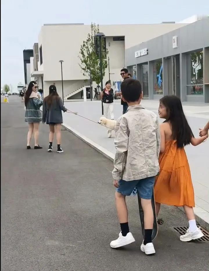 偶遇杜江霍思燕一家遛狗🐶！
有人偶遇杜江霍思燕带儿女遛狗🐶。碰到巨型贵宾犬，