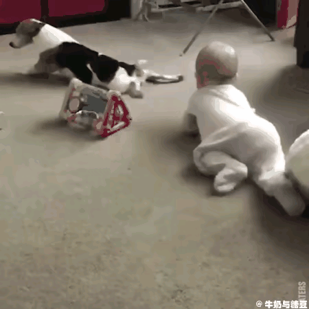 全网都要笑喷了！
年仅几个月大的宝宝，在地上玩玩具。
一条狗狗也陪在宝宝旁边。