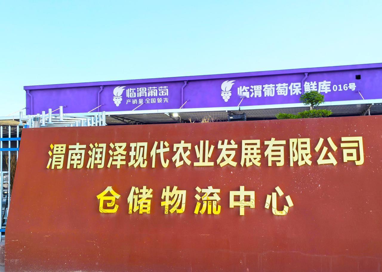 ▲陕西渭南润泽仓储物流中心
葡萄       渭南 
       渭南润泽现代