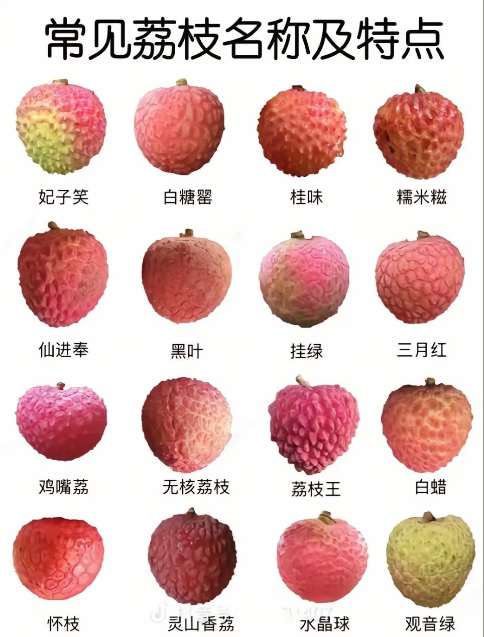 记录者[超话] 你截止现在，吃过哪几种荔枝？（注明：补充一个新品种——冰荔枝） 