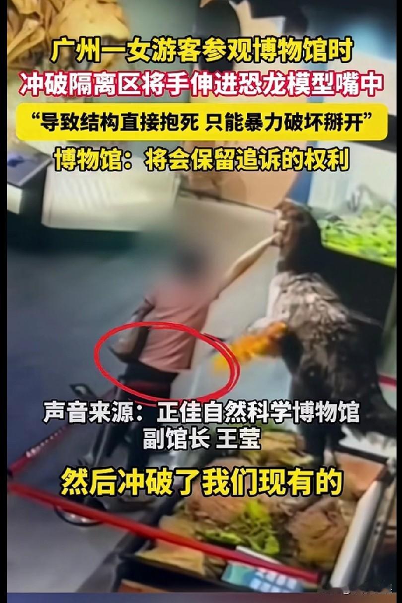 很难理解一个成年人得多欠儿，能欠儿到这个程度。
广州一位女游客参观博物馆时，冲破