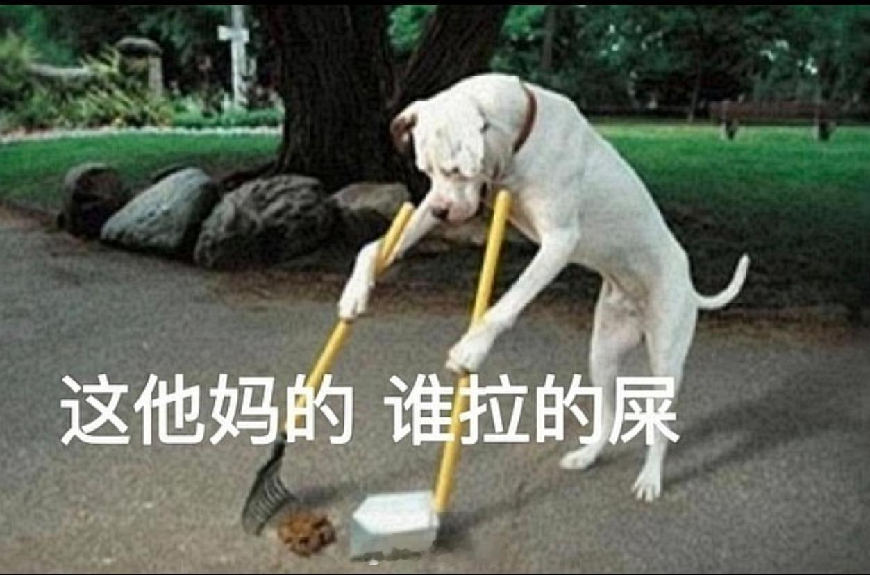 周锦泉和伍毅菲都是沪的，出u19规则，皇子都会被“强制分配”让别人给他们奶孩子，