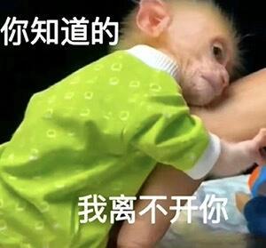天行禁区 🐷 