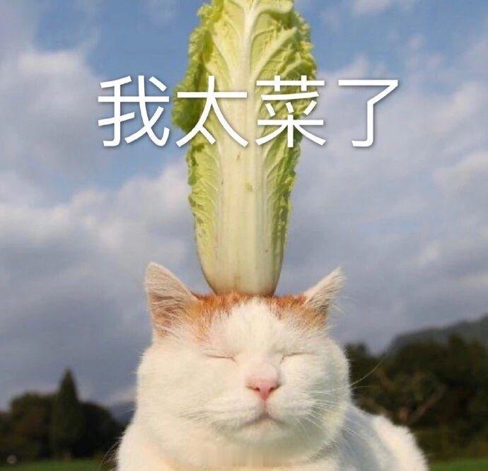 以前我觉得“说车”是一件特别“简单”甚至“没价值”的事情但是做过才知道，如果真的