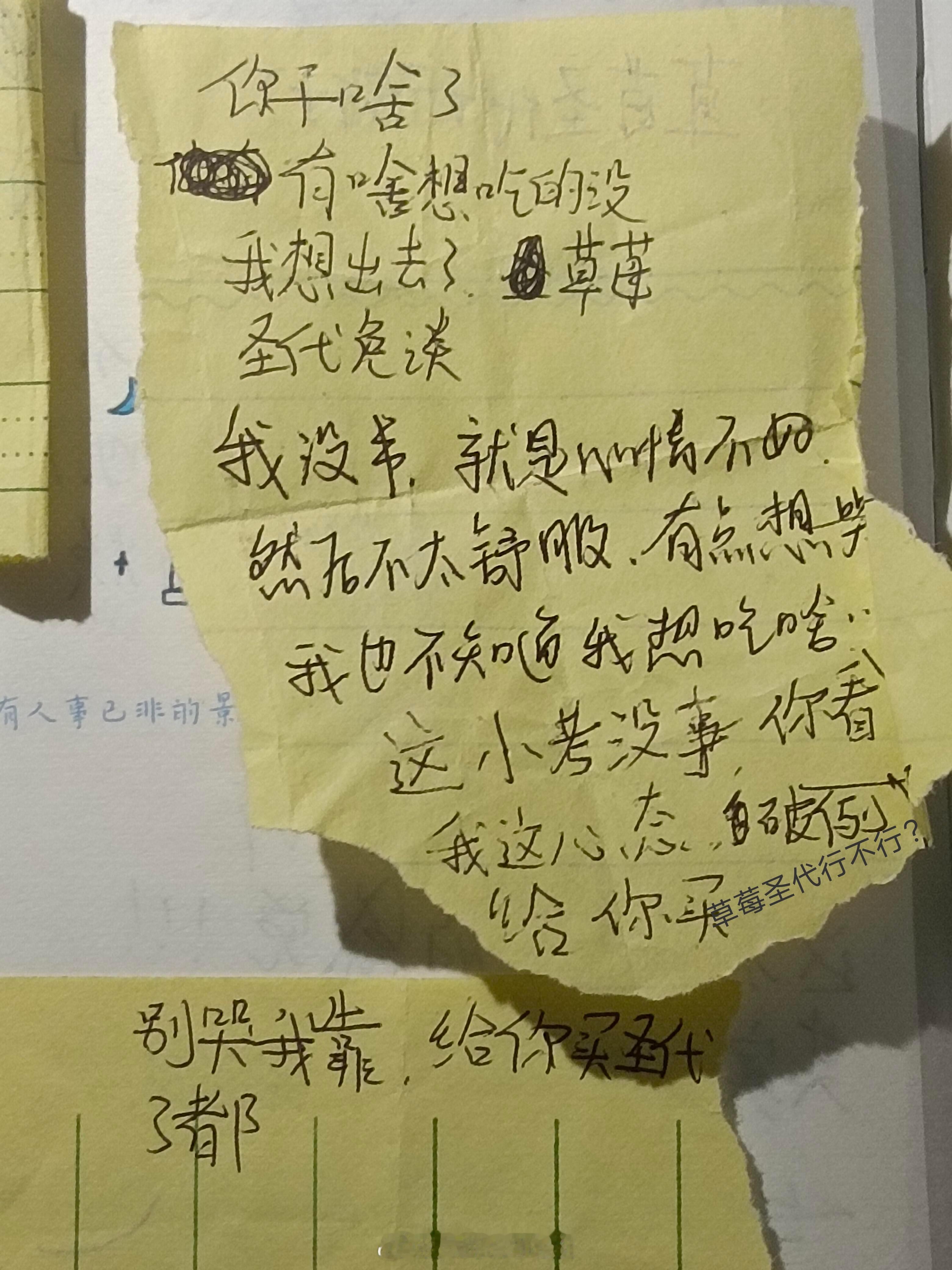 ✉️：最崩溃的时期翻到了和前任的纸条翻到了十六岁和前任哥传的纸条。最近处于一个非