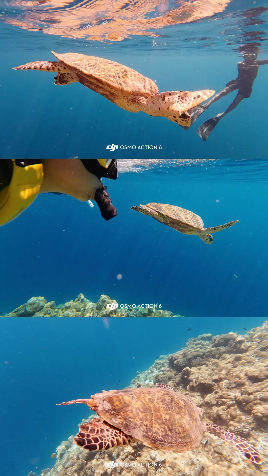 租了个aciton6去马代…