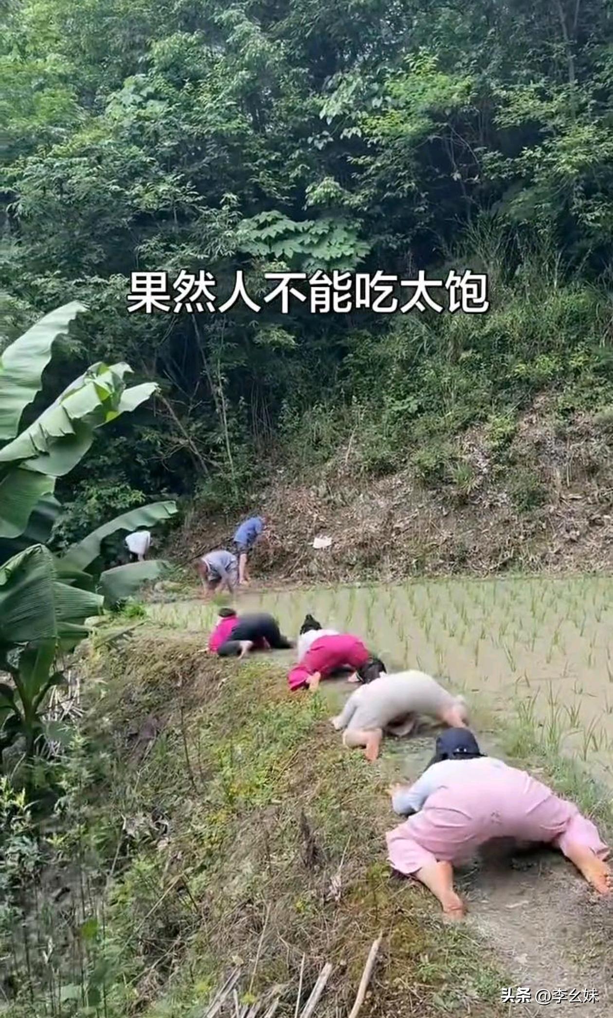 他们这是在干啥？
