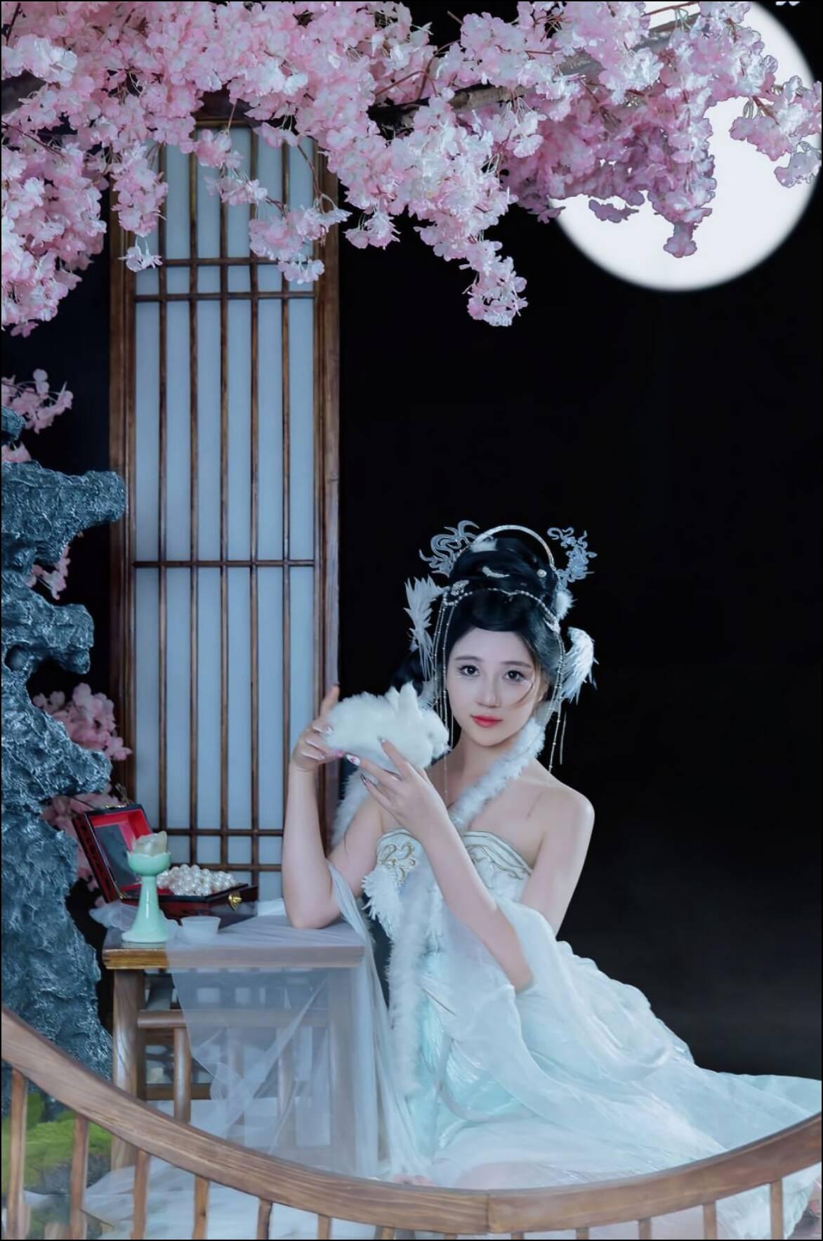 仙气飘飘的汉服美人，樱花树下品茶赏花。微胖女孩为什么变得越来越受欢迎? 空姐为什