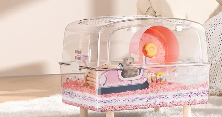 给鼠子“控糖”、造大别墅，这门爆火生意，有商家拿下多个TOP1