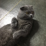 阳光里热聊娱乐