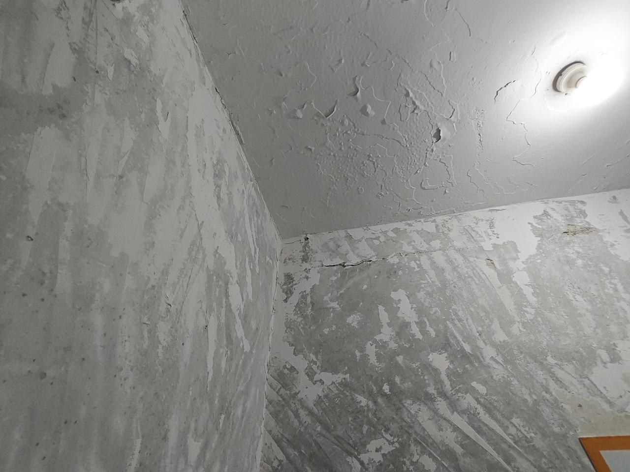 成年人最致命的贫穷，从来不是缺钱、缺运气、缺天赋。毁掉普通人一生的元凶：想太多，