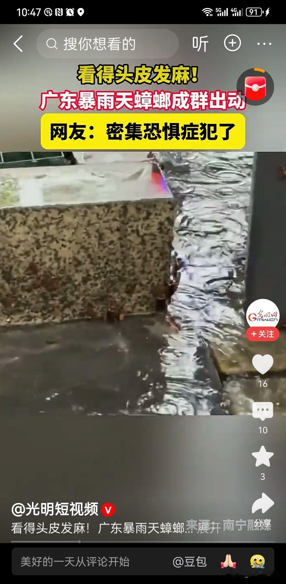 广东暴雨后蟑螂“大迁徙”！密密麻麻爬满墙，会飞还往人身上扑，南方人集体破防
 