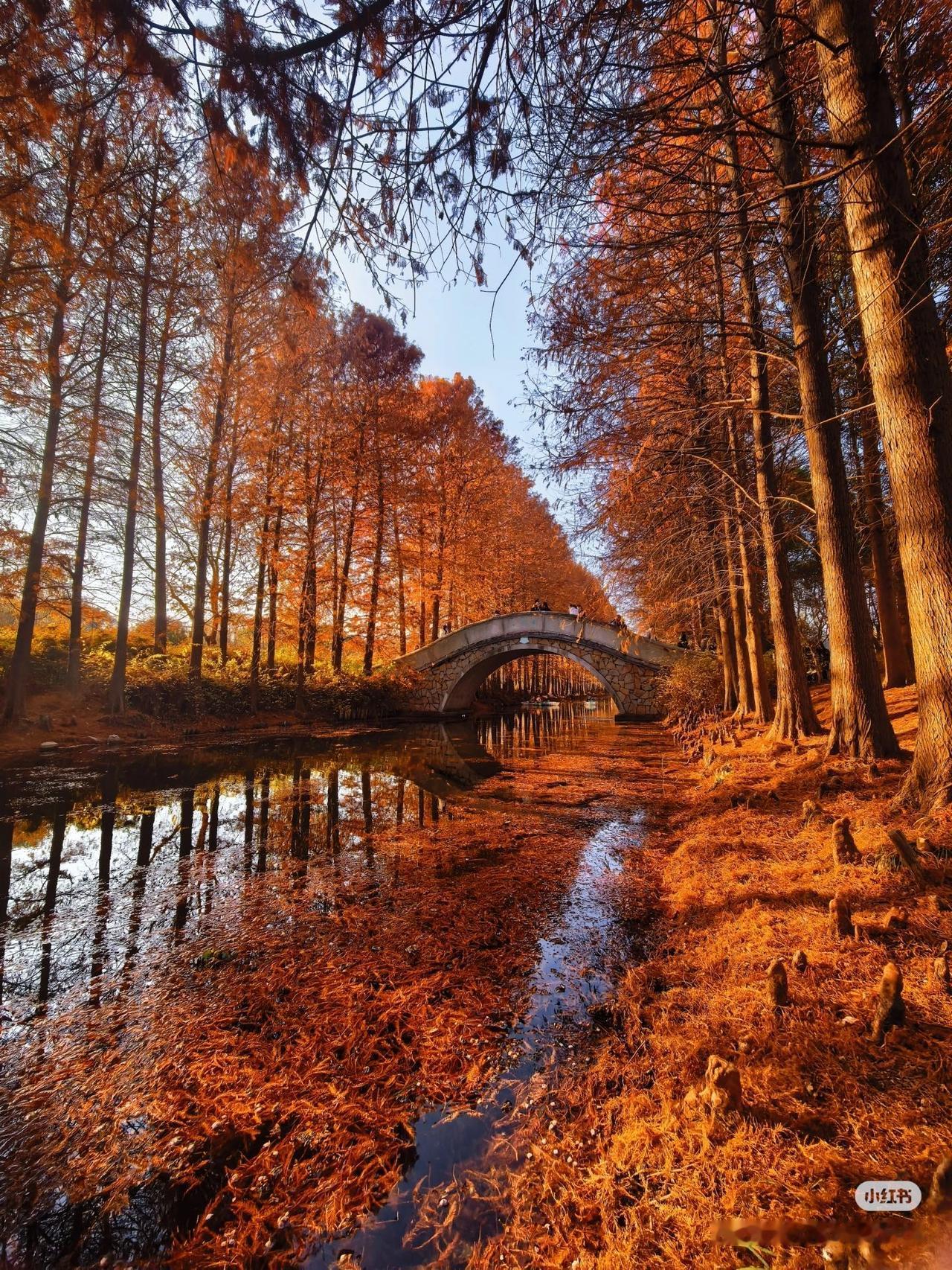 唯美壁纸谁不喜欢