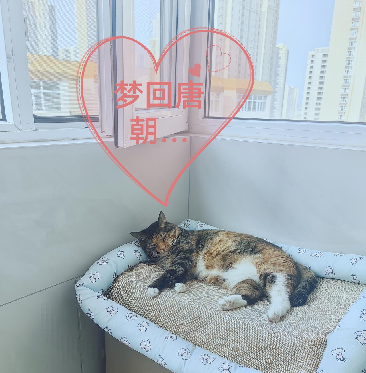 记录生活，随手拍张照
