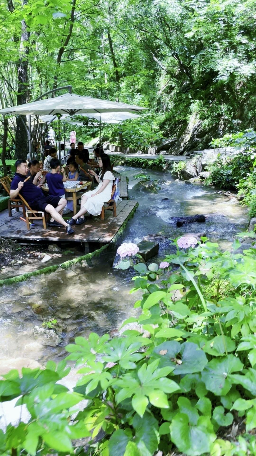 在城市待得久了，总想去找个地方喘口气。这次去了一个藏在山林里的地方，溪水潺潺，树